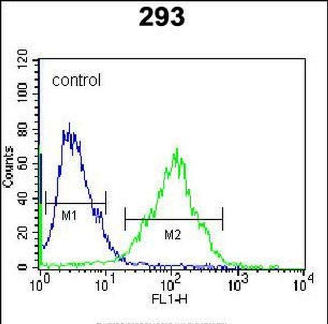 PARS2 Antibody in Flow Cytometry (Flow)