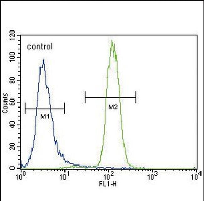 UGT2B15 Antibody in Flow Cytometry (Flow)