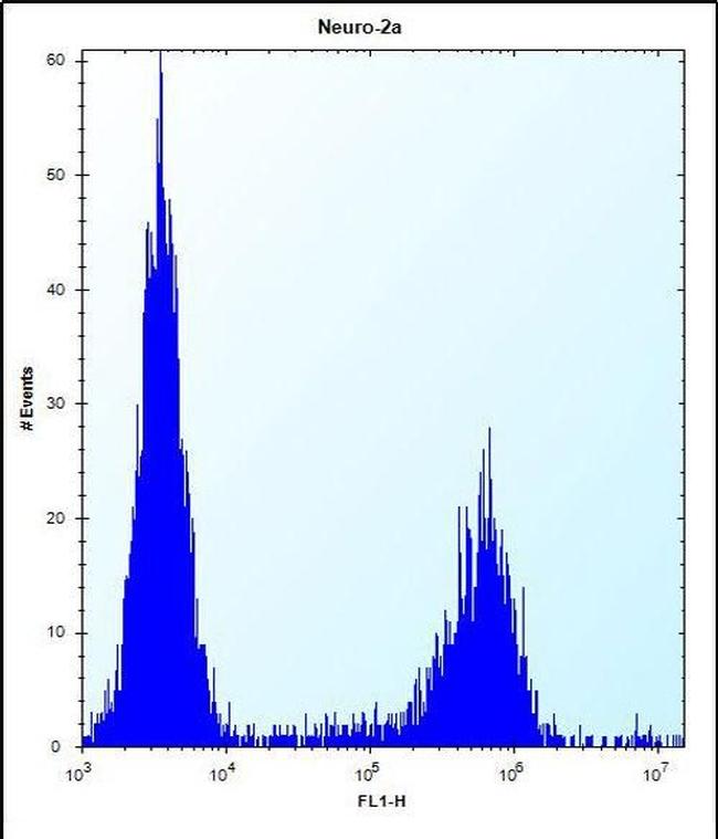 MAN2A2 Antibody in Flow Cytometry (Flow)