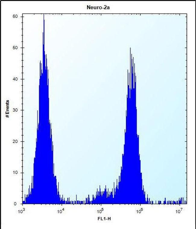 CHSY1 Antibody in Flow Cytometry (Flow)