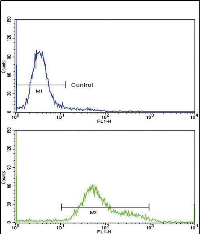 GMPS Antibody in Flow Cytometry (Flow)