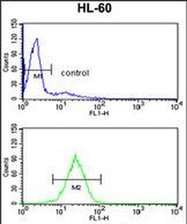 HSD17B7 Antibody in Flow Cytometry (Flow)