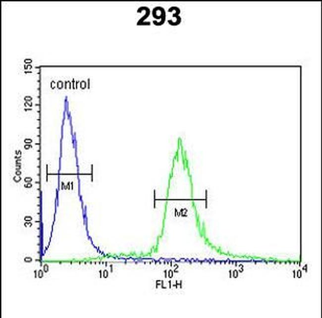 EPS8L3 Antibody in Flow Cytometry (Flow)