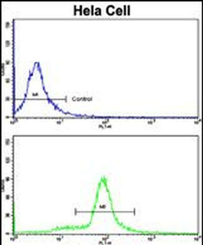 SRP72 Antibody in Flow Cytometry (Flow)