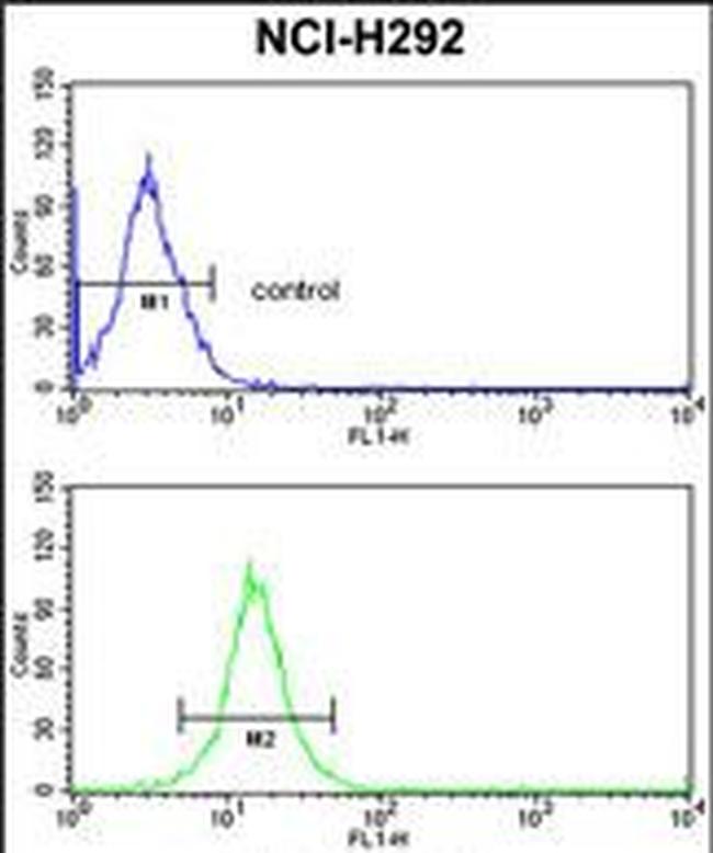 RGP1 Antibody in Flow Cytometry (Flow)