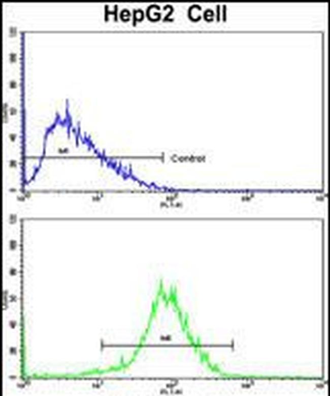 HPD Antibody in Flow Cytometry (Flow)