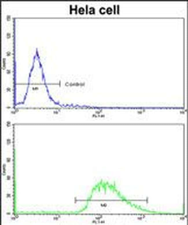 LMOD1 Antibody in Flow Cytometry (Flow)