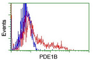 PDE1B Antibody in Flow Cytometry (Flow)