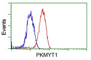 PKMYT1 Antibody in Flow Cytometry (Flow)