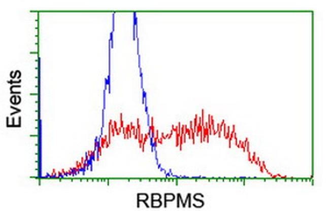 RBPMS Antibody in Flow Cytometry (Flow)