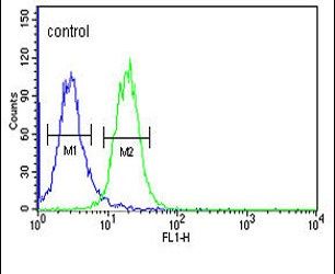 RHBG Antibody in Flow Cytometry (Flow)