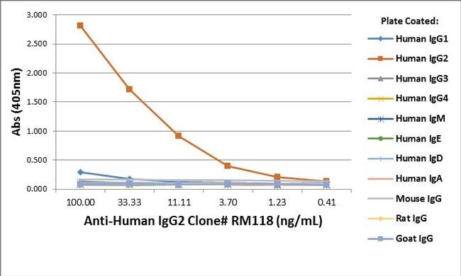 Human IgG2 Secondary Antibody in ELISA (ELISA)