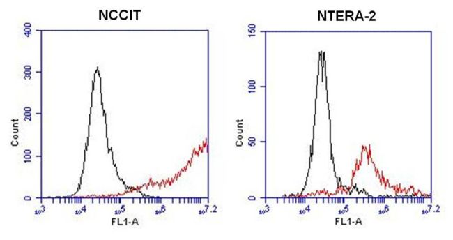 SSEA5 Antibody in Flow Cytometry (Flow)