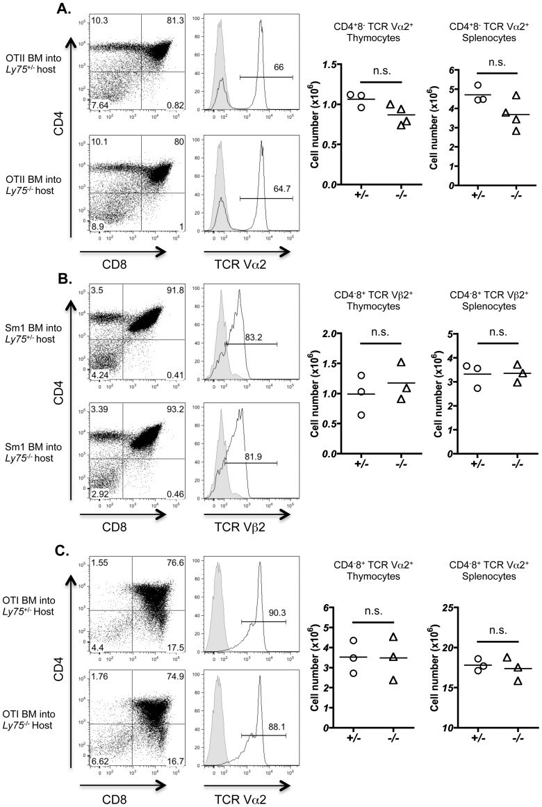TCR V alpha 2 Antibody, PE (12581282) TCR V alpha 2 Antibody, PE (12581282)