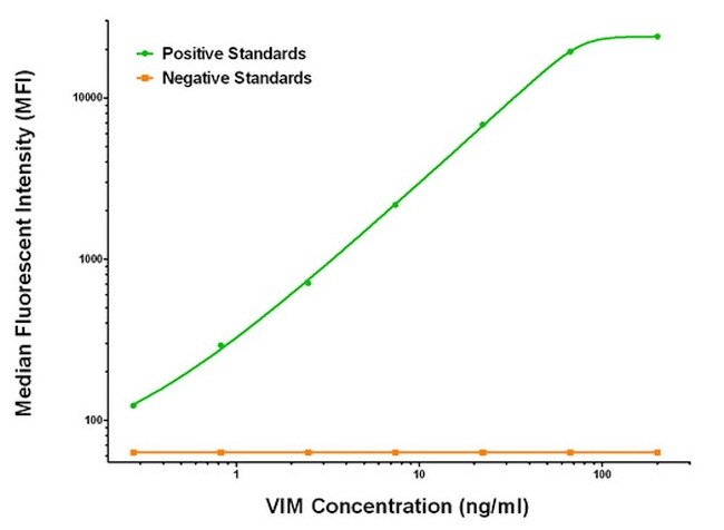 VIM Antibody in Luminex (LUM)