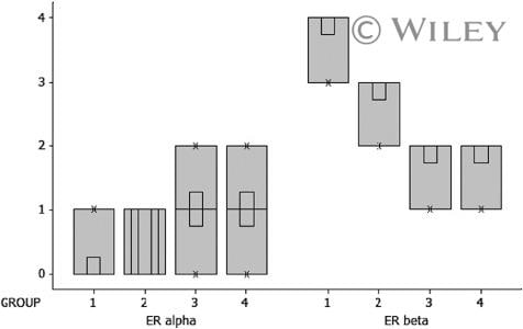 Estrogen Receptor beta Antibody in Immunohistochemistry (IHC)