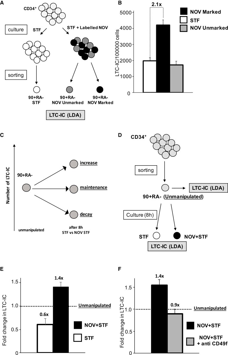 CD49f (Integrin alpha 6) Antibody in Neutralization (Neu)