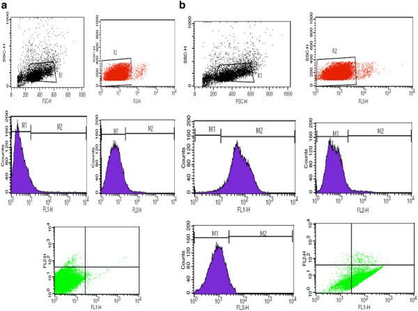 CD146 Antibody (14-1469-82)