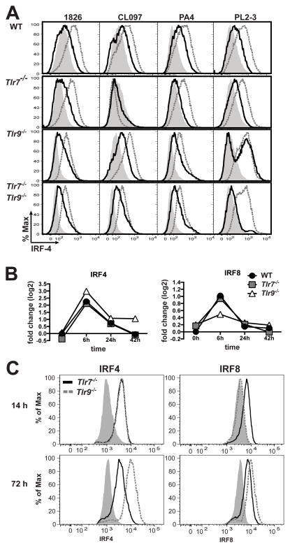 IRF4 Antibody in Flow Cytometry (Flow)