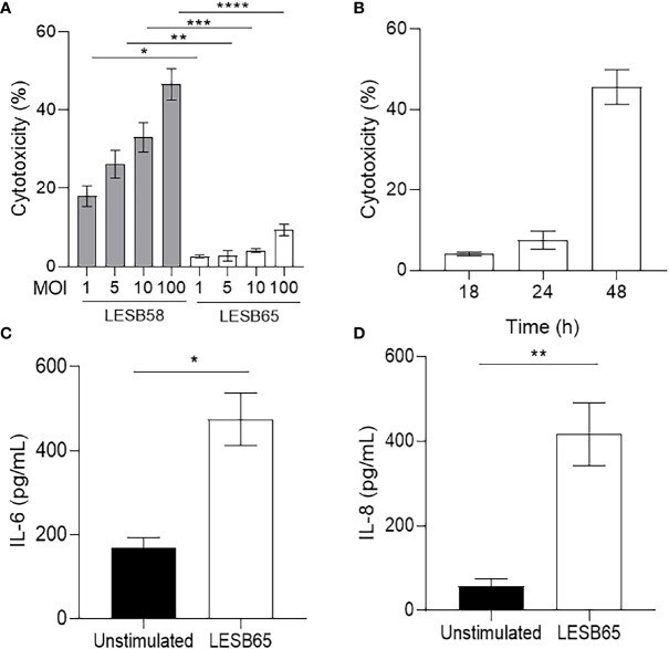 IL-8 (CXCL8) Antibody in ELISA (ELISA)