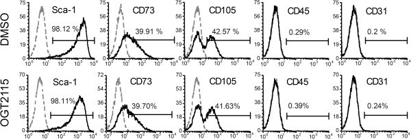 CD105 (Endoglin) Antibody in Flow Cytometry (Flow)
