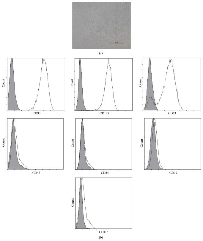 Cd19 Antibody Percp Cyanine5 5 45 0199 42