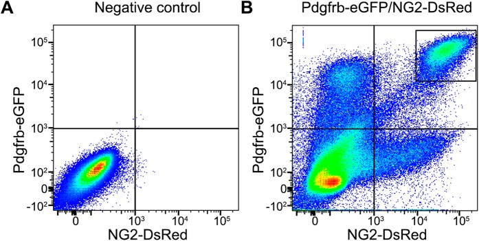CD140b (PDGFRB) Antibody in Flow Cytometry (Flow)