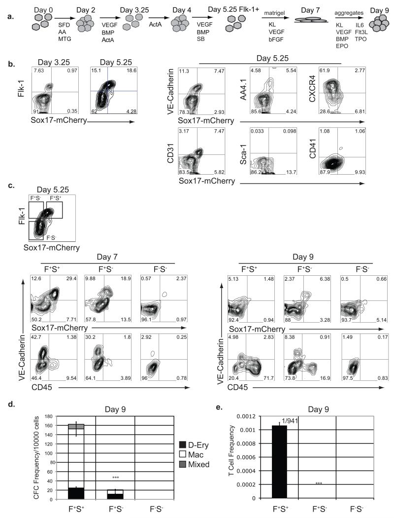 CD144 (VE-cadherin) Antibody in Flow Cytometry (Flow)